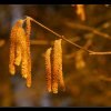 20070210_122
